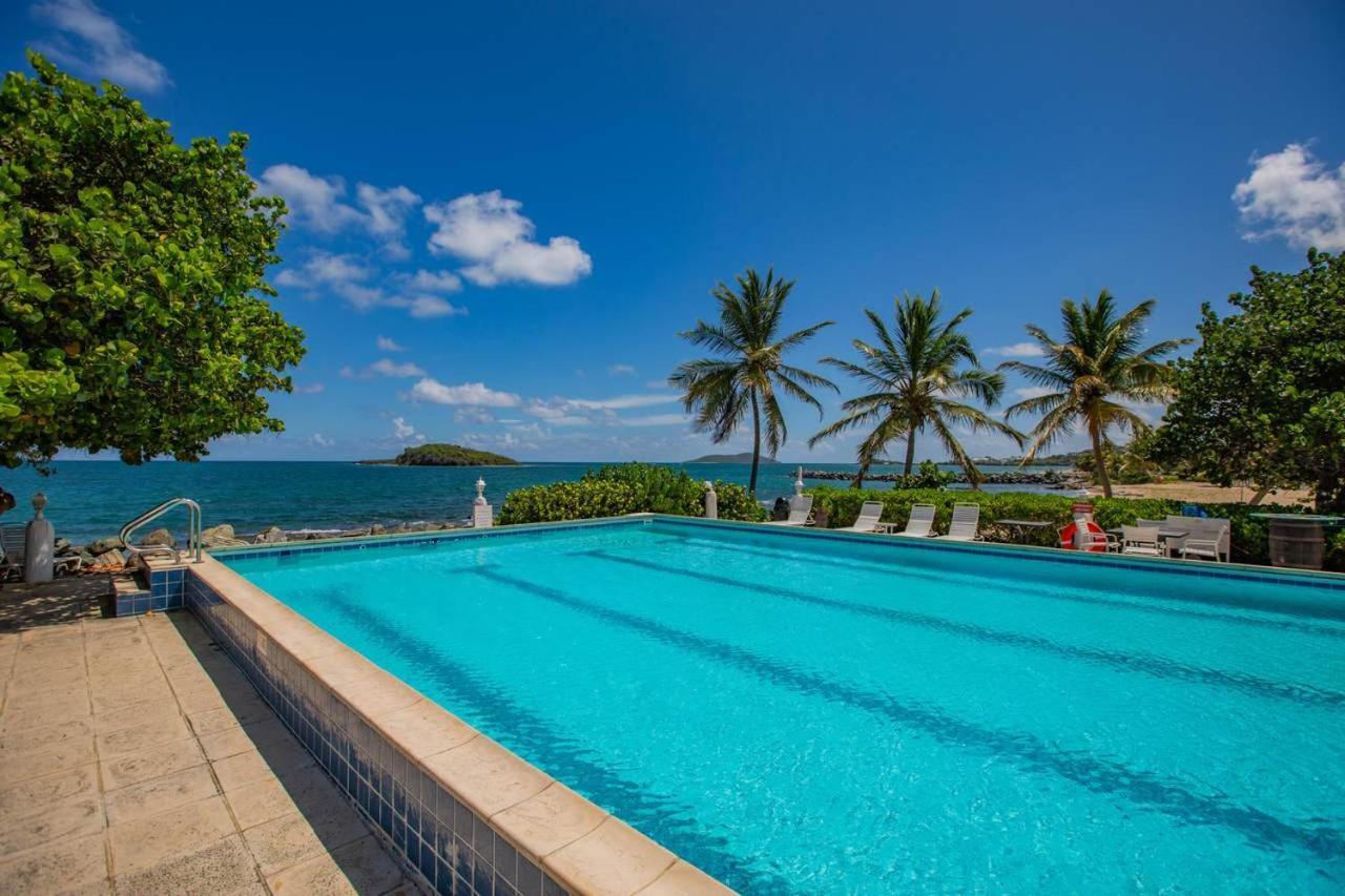 Tamarind Reef Resort Spa & Marina Christiansted Eksteriør bilde