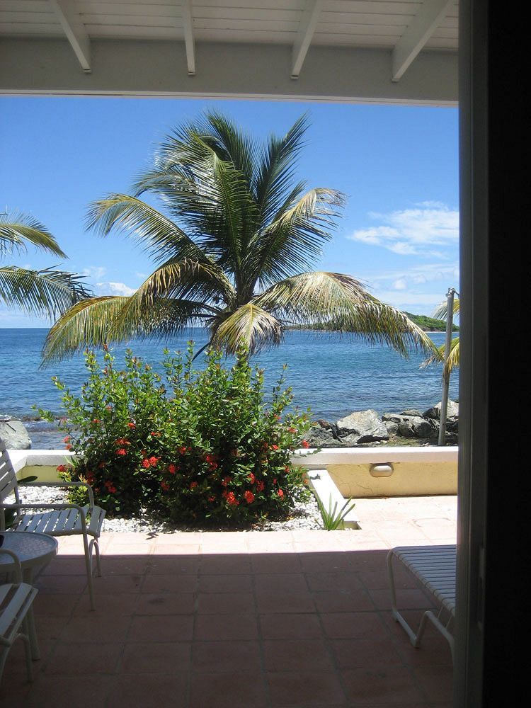 Tamarind Reef Resort Spa & Marina Christiansted Eksteriør bilde