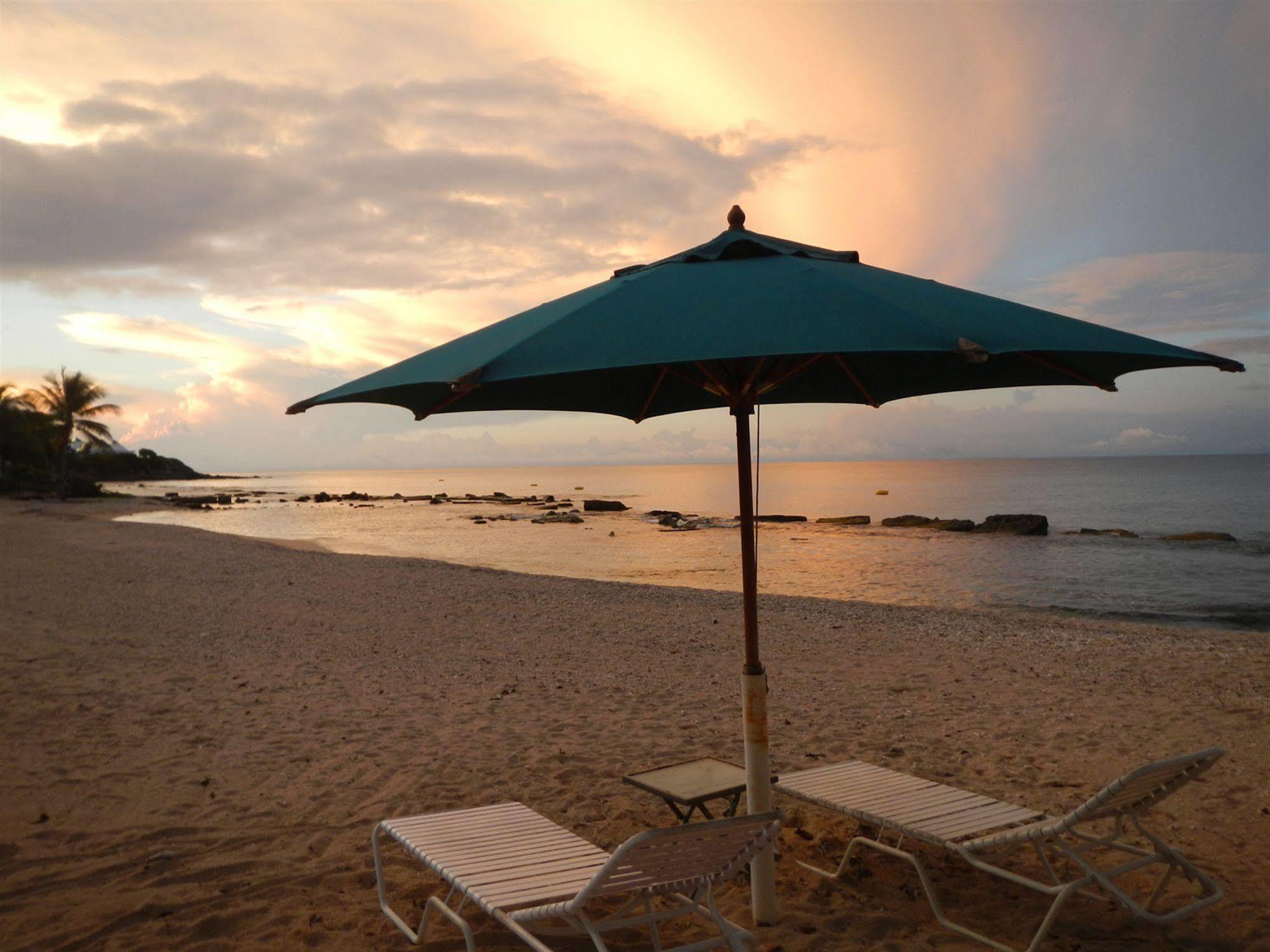Tamarind Reef Resort Spa & Marina Christiansted Eksteriør bilde