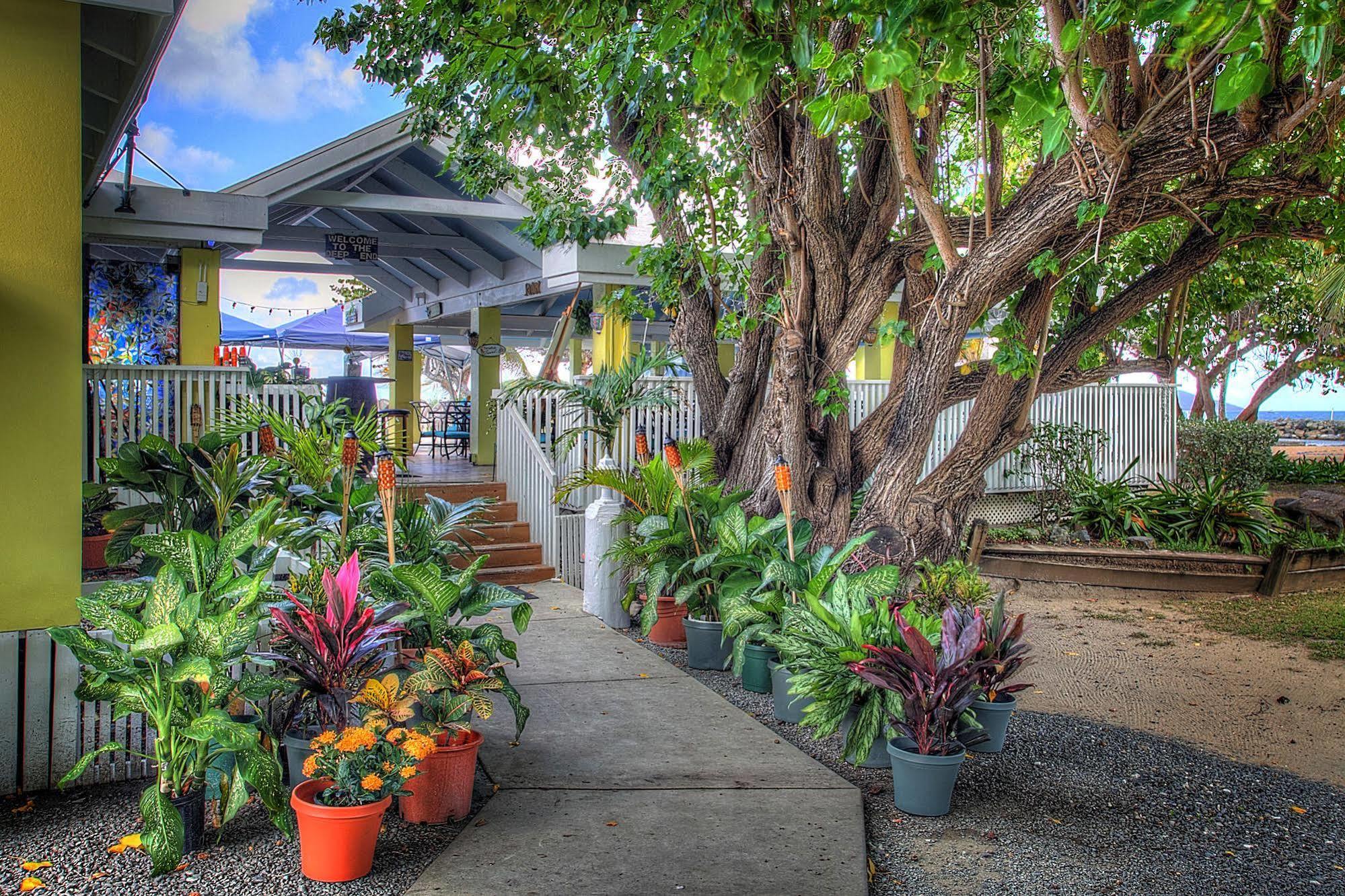 Tamarind Reef Resort Spa & Marina Christiansted Eksteriør bilde